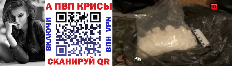 Alfa_PVP СК Короча