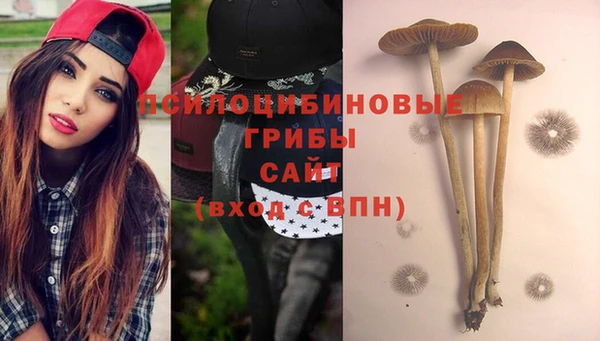 mix Богородск